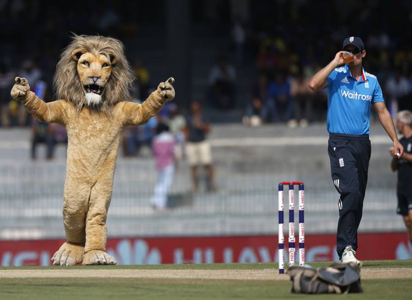 Sri Lanka. Un momento di pausa durante il match della squadra klocale contro l&#39;Inghilterra: e in campo imperversa un leone (Reuters)